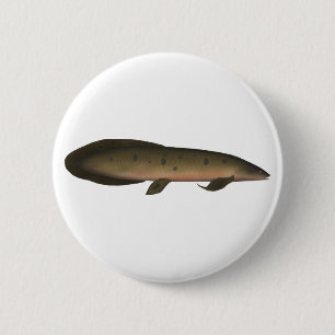 Australischer Lungfisch Button