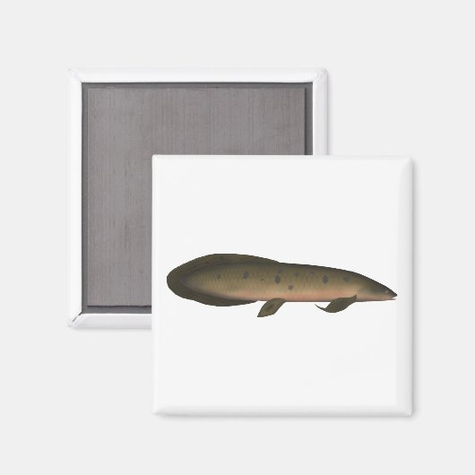 Australischer Lungfisch Magnet (Vorderseite/Rückseite)