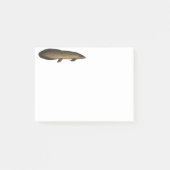 Australischer Lungfisch Post-it Klebezettel (Vorderseite)