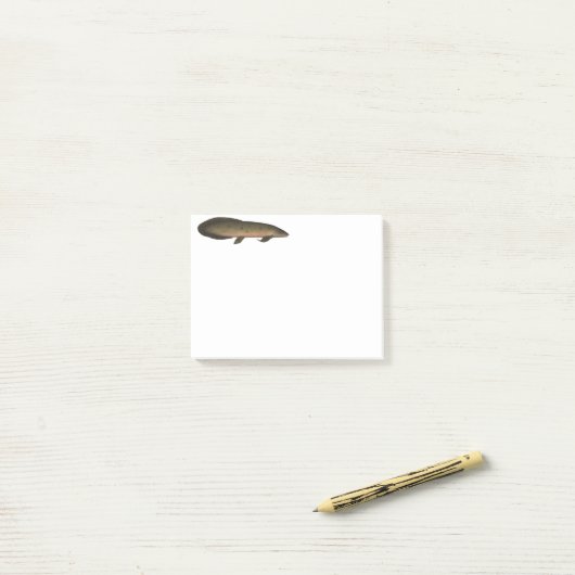 Australischer Lungfisch Post-it Klebezettel (Auf Schreibtisch)