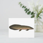 Australischer Lungfisch Postkarte (Stehend Vorderseite)