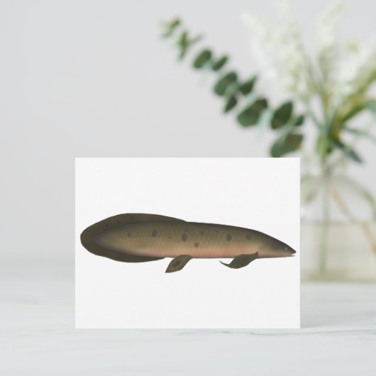 Australischer Lungfisch Postkarte (Stehend Vorderseite)