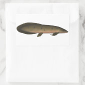 Australischer Lungfisch Rechteckiger Aufkleber (Tasche)