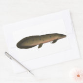 Australischer Lungfisch Rechteckiger Aufkleber (Umschlag)