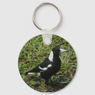 Australischer Magpie-Schlüsselanhänger Schlüsselanhänger