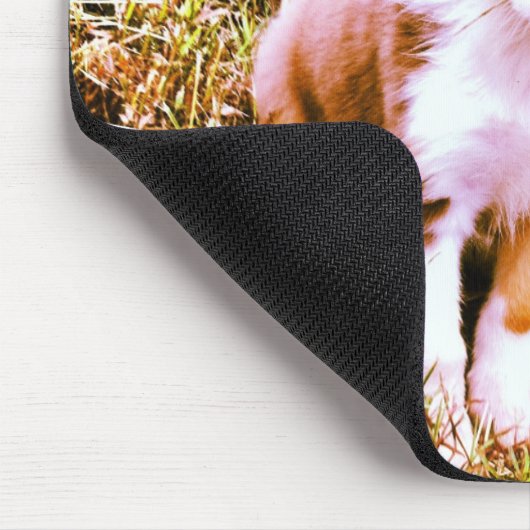 Australischer Miniaturschäfer! Mini australischer Mousepad (Ecke)