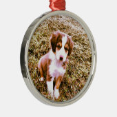 Australischer Miniaturschäfer! Mini australischer Silbernes Ornament (Rechts)