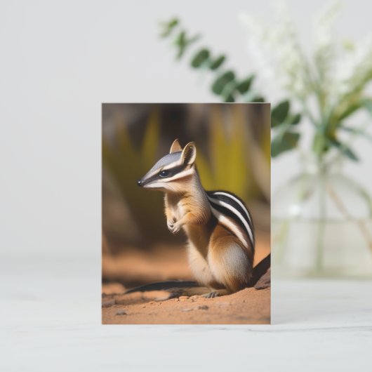 Australischer Numbat, Postkarte (Stehend Vorderseite)
