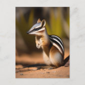 Australischer Numbat, Postkarte (Vorderseite)