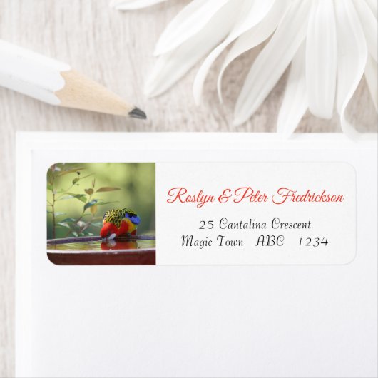 Australischer Ost-Rosella (Insitu)