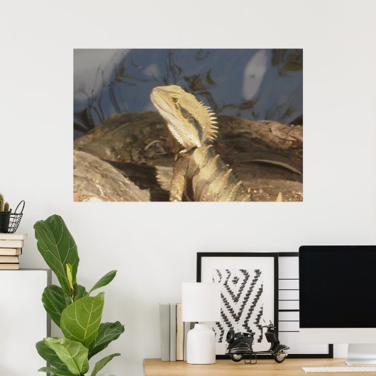 Australischer Ostwasserdrache Poster (Heimbüro)