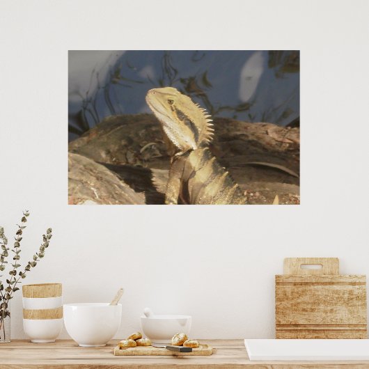 Australischer Ostwasserdrache Poster (Küche)