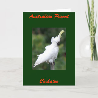 Australischer Papagei, Cockatoo Karte