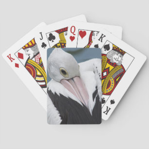 Australischer Pelikan Nahaufnahme Spielkarten