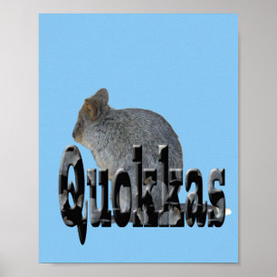 Australischer Quokka ist der Name, Poster