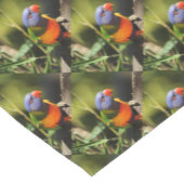 Australischer Regenbogen Lorikeet Kurzer Tischläufer (Ecke)