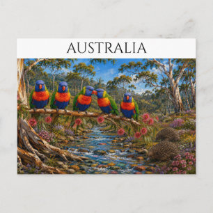 Australischer Regenbogenlorikeet und Echidna-Bach Postkarte