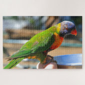 Australischer Regenbogenvogel Puzzle (Horizontal)