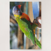 Australischer Regenbogenvogel Puzzle (Vertikal)