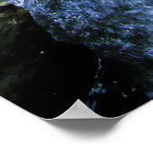 Australischer Regenwald Poster (Ecke)