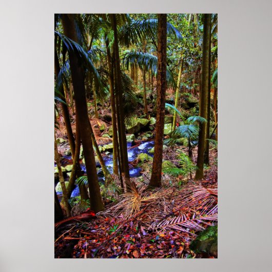 Australischer Regenwald Poster (Vorne)