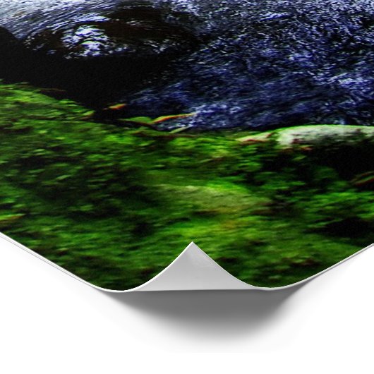 Australischer Regenwald Poster (Ecke)