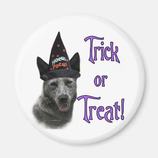 Australischer Rind Dog Trick Magnet (Vorne)