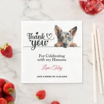 Australischer Rind Dog Wedding Cocktail