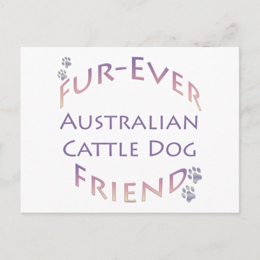 Australischer Rinder Dog Furever Postkarte (Vorderseite)