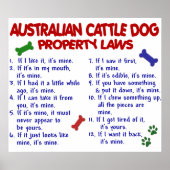 AUSTRALISCHER RINDER DOG PL2 POSTER (Vorne)
