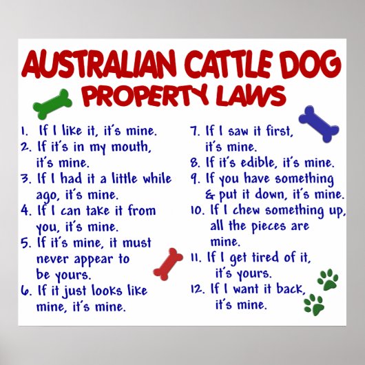 AUSTRALISCHER RINDER DOG PL2 POSTER (Vorne)