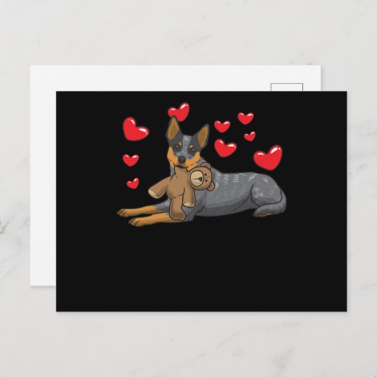 Australischer Rinder Hund mit gestopften Tieren un Postkarte (Vorne/Hinten)