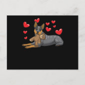 Australischer Rinder Hund mit gestopften Tieren un Postkarte (Vorderseite)