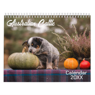 Australischer Rinder-Hunde-Kalender 2026 Kalender