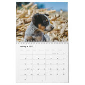 Australischer Rinder-Hunde-Kalender 2026 Kalender (Jan 2027)