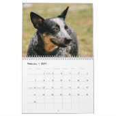 Australischer Rinder-Hunde-Kalender 2026 Kalender (Feb 2027)