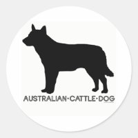 Australischer Rinder-Hundehalter