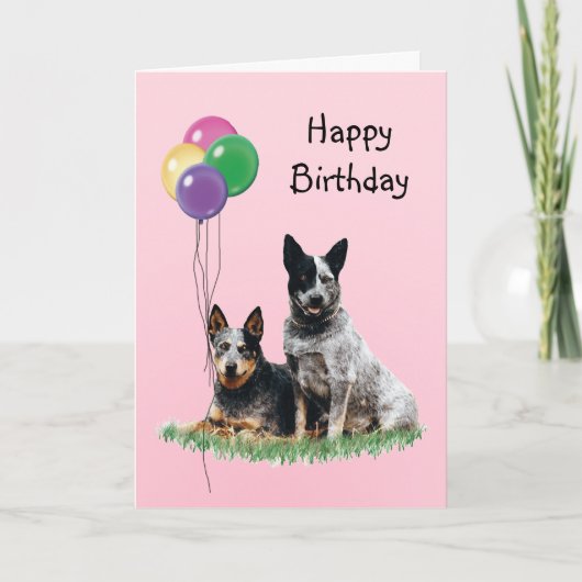 Australischer Rinderhund, Birthday Balloons Karte (Vorderseite)