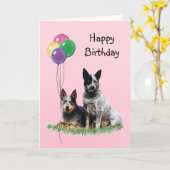 Australischer Rinderhund, Birthday Balloons Karte (Gelbe Blume)