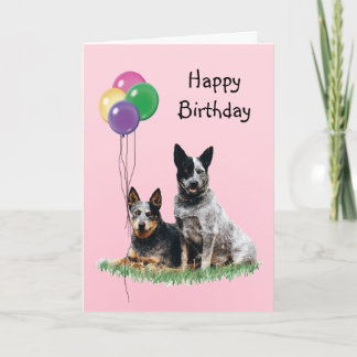 Australischer Rinderhund, Birthday Balloons Karte