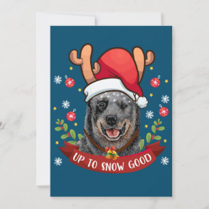 Australischer Rinderhund Blue Heeler Reindeer Chri Einladung