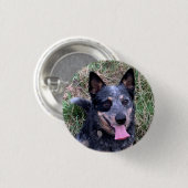 Australischer Rinderhund Button (Vorne & Hinten)