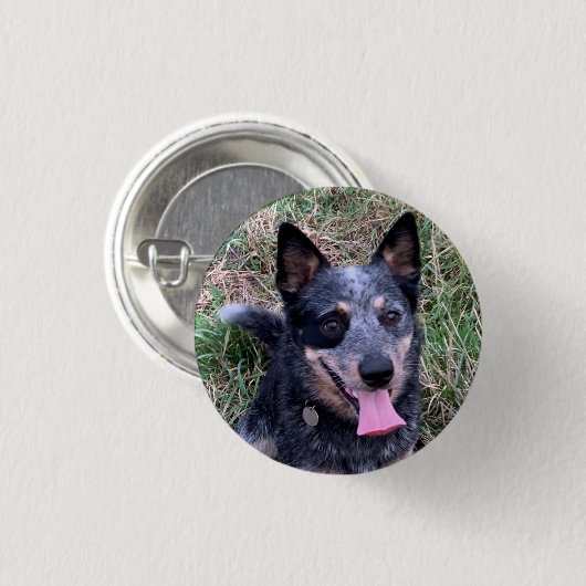 Australischer Rinderhund Button (Vorne & Hinten)