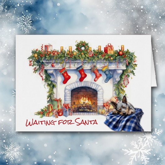 Australischer Rinderhund Feuerplatz warten auf San