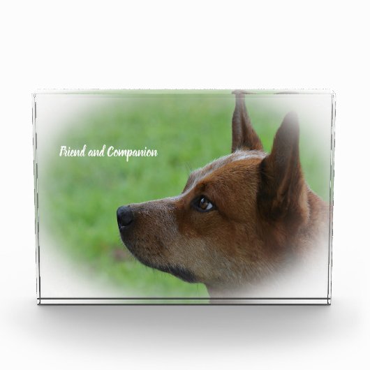 Australischer Rinderhund Fotoblock (Vorderseite)
