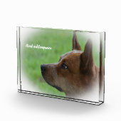 Australischer Rinderhund Fotoblock (Rechts)