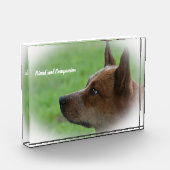 Australischer Rinderhund Fotoblock (Links)