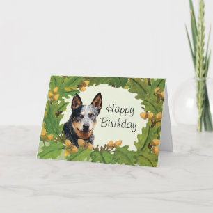 Australischer Rinderhund Happy Birthday Card Karte