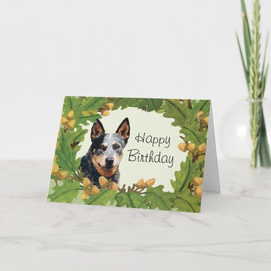 Australischer Rinderhund Happy Birthday Card Karte (Vorderseite)