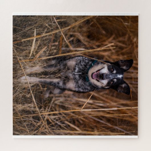 Australischer Rinderhund Heeler Puzzle (Horizontal)